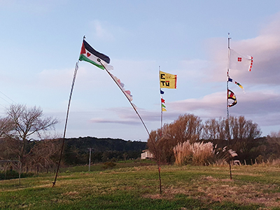 An image of flags and flag poles made by McKinley Rd Creatives, flying in the top paddock.