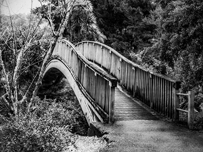 An image of foot bridge in Whangarei