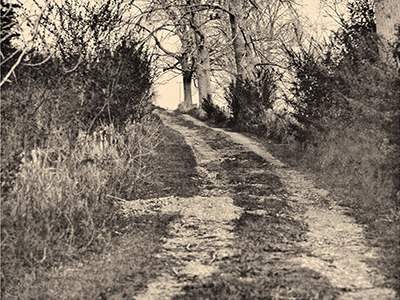 Silver gelatin paper negative of the driveway at Mc KinleyRd Creatives